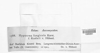 Protocrea fungicola image